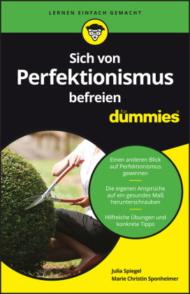 Sich von Perfektionismus befreien für Dummies