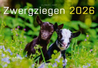 Kalender Zwergziegen 2026