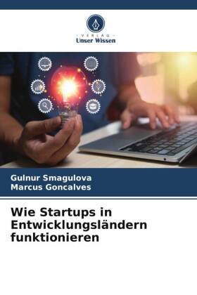 Wie Startups in Entwicklungsländern funktionieren