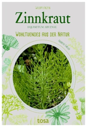 Zinnkraut