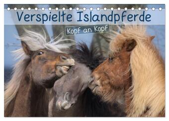 Verspielte Islandpferde Kopf an Kopf (Tischkalender 2024 DIN A5 quer), CALVENDO Monatskalender