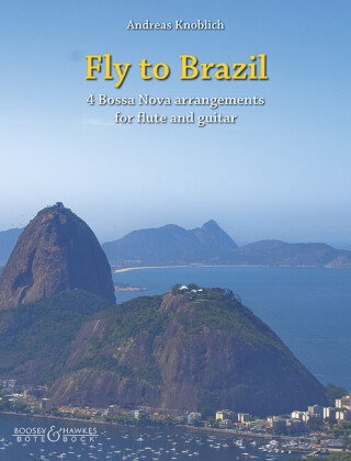 Fly to Brazil