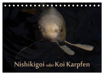 Nishikigoi oder Koi Karpfen (Tischkalender 2024 DIN A5 quer), CALVENDO Monatskalender