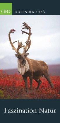 GEO - Faszination Natur 2026 - Wandkalender 22x45 cm, 12 Monatsblätter mit hochwertigen Naturfotogra