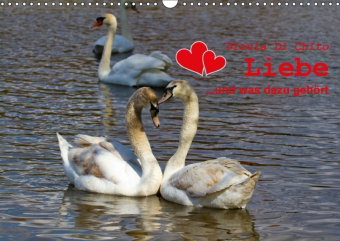 Liebe - ...und was dazu gehört (Wandkalender 2018 DIN A3 quer)