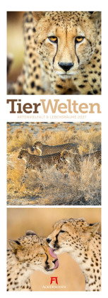 Tierwelten Triplet-Kalender 2027 | Artenvielfalt & Lebensräume