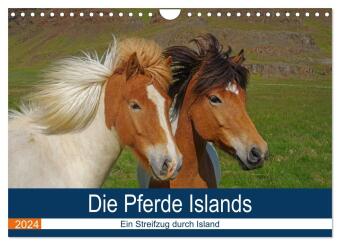 Die Pferde Islands - Ein Streifzug durch Island (Wandkalender 2024 DIN A4 quer), CALVENDO Monatskale