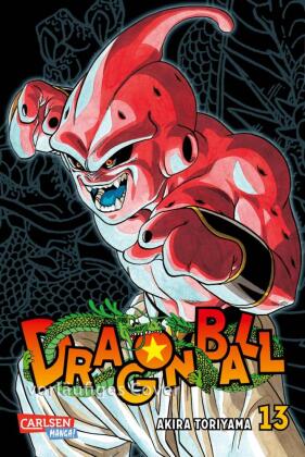 Dragon Ball Massiv. Bd.13