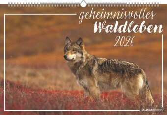 Alpha Edition - Geheimnisvolles Waldleben Kalender 2026 - Bildkalender 49,5x33 cm - Tiere & Pflanzen