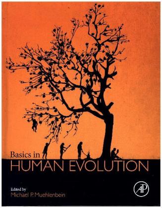 Basics in Human Evolution
