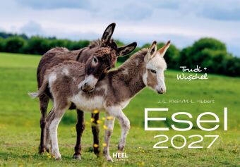 Esel Kalender 2027