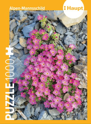 Alpen-Mannsschild - Puzzle
