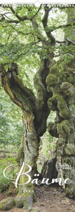 Alpha Edition - Bäume 2026 - Streifenkalender XXL 25x69 cm - Bildkalender im Hochformat - Für Natur-
