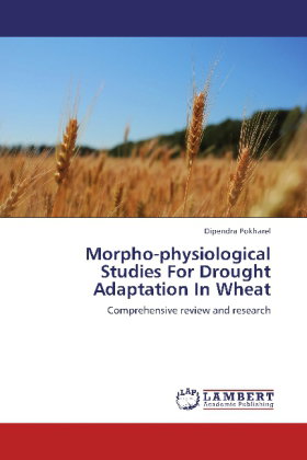 Morpho-physiological Studies For Drought Adaptation In Wheat