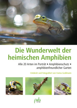 Wunderwelt heimische Amphibien