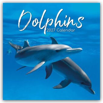 Dolphins - Delfine - Delphine 2027 - 16-Monatskalender