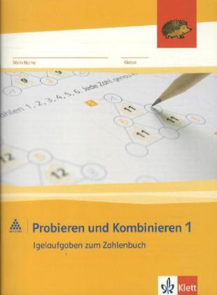 Probieren und Kombinieren 1