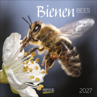 Bienen 2027