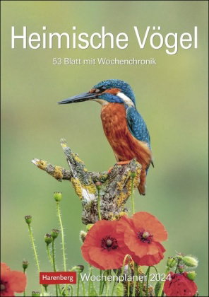 Heimische Vögel Wochenplaner 2024. Wochenkalendarium, Infos zu den porträtierten Vogelarten und viel
