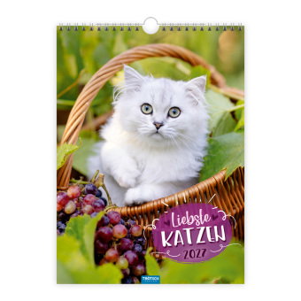 TRÖTSCH - Classickalender Liebste Katzen 2027