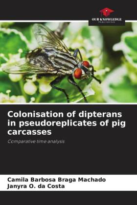 Colonisation of dipterans in pseudoreplicates of pig carcasses