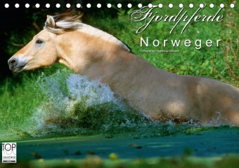 Fjordpferde - Norweger (Tischkalender 2018 DIN A5 quer)