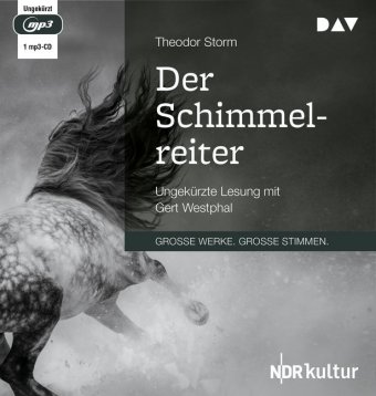 Der Schimmelreiter, 1 Audio-CD, 1 MP3