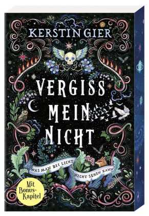 Vergissmeinnicht - Was man bei Licht nicht sehen kann