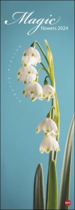 Magic Flowers Vertical Kalender 2024. Langer Wandkalender mit farbenprächtigen Blumen-Fotos. Dekorat