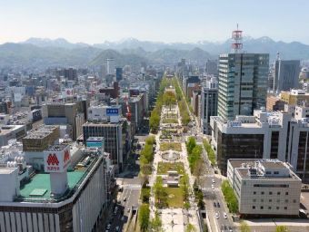 Sapporo - 1.000 Teile (Puzzle)