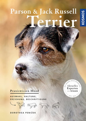 Parson und Jack Russel Terrier