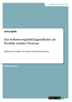 Das Selbstwertgefühl Jugendlicher als Produkt sozialer Prozesse