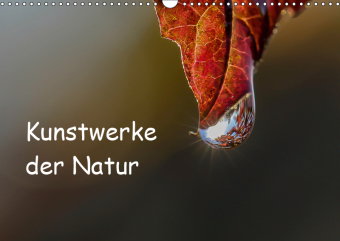 Kunstwerke der Natur (Wandkalender 2019 DIN A3 quer)