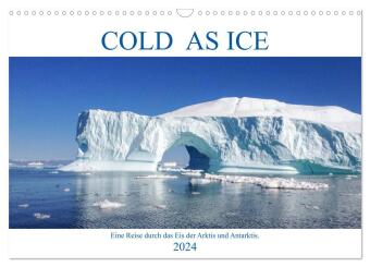 Cold as Ice - Eindrücke aus Arktis und Antarktis (Wandkalender 2024 DIN A3 quer), CALVENDO Monatskal