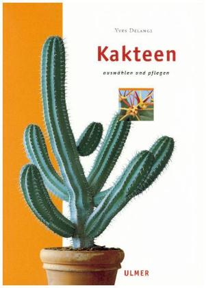 Kakteen