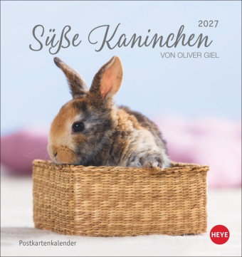Süße Kaninchen Postkartenkalender 2027