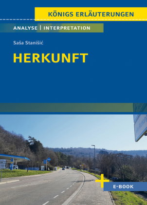 Herkunft von Sasa Stanisi