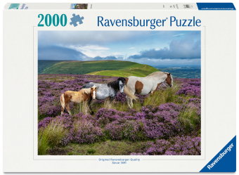 Erwachsenenpuzzle 2000 Teile - Wildpferde in der Heide