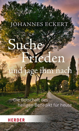 Suche Frieden und jage ihm nach