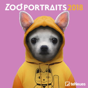 Zoo Portraits 2018