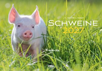 Schweine Kalender 2027