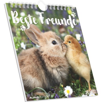 Alpha Edition - Beste Freunde 2026 - Postkartenkalender 16×17 cm mit 53 Tierfreundschaft-Motiven, FS