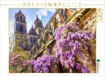 CALVENDO Puzzle Blühender Blauregen im Kreuzgang des Magdeburger Doms | 1000 Teile Lege-Größe 64x48c