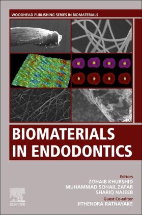 Biomaterials in Endodontics