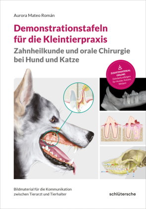 Demonstrationstafeln für die Kleintierpraxis, Zahnheilkunde und orale Chirurgie bei Hund und Katze