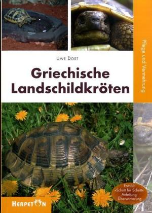 Griechische Landschildkröten