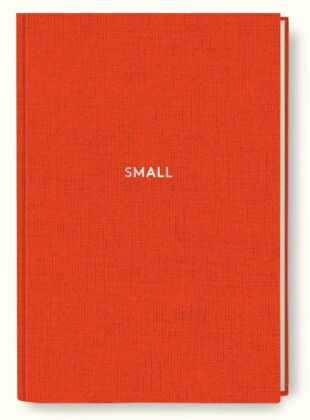 Diogenes Notes, small
