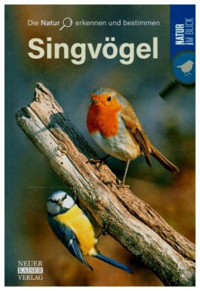 Singvögel