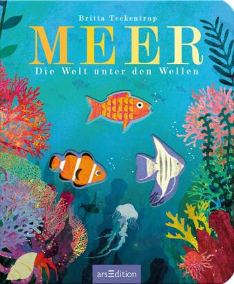 Meer