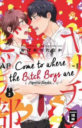 Come to where the Bitch Boys are 03. Bd.3